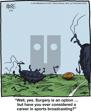 In the Bleachers - Wednesday June 15, 2011 Comic Strip