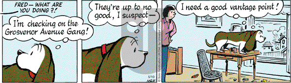 Fred Basset on Tuesday May 10, 2016 Comic Strip
