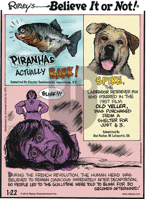 Ripley's Believe It or Not on Friday January 22, 2016 Comic Strip