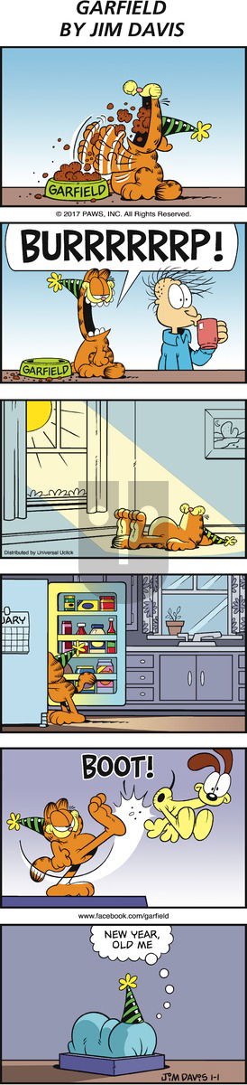 Garfield on Sunday January 1, 2017 Comic Strip