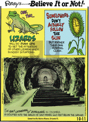 Ripley's Believe It or Not on Tuesday October 11, 2016 Comic Strip