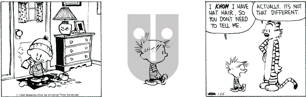 Calvin and Hobbes - Tuesday January 25, 1994 Comic Strip