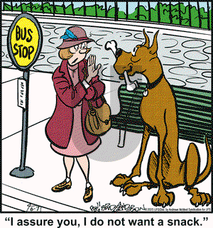 Marmaduke on Saturday June 7, 2025 Comic Strip