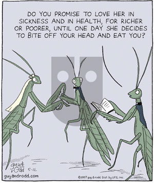 Brevity on Saturday May 12, 2007 Comic Strip