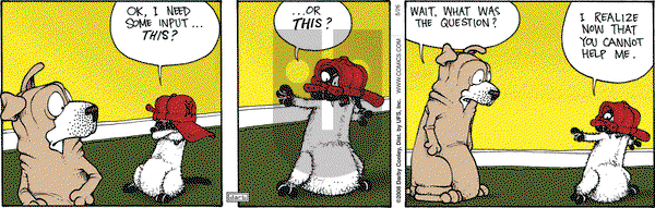 Get Fuzzy on Monday May 26, 2008 Comic Strip