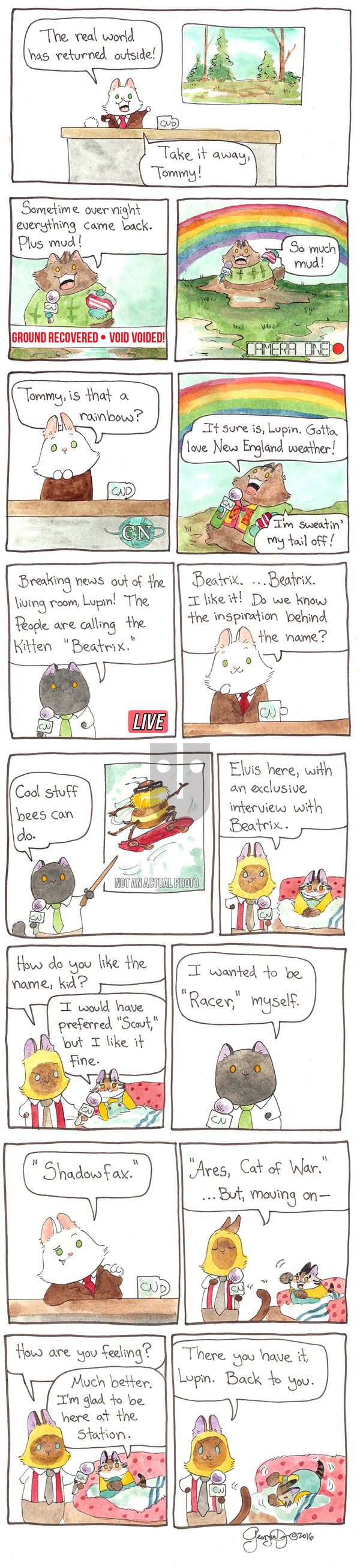 Breaking Cat News on Sunday May 8, 2016 Comic Strip
