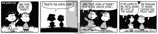 Peanuts on Thursday June 25, 1970 Comic Strip