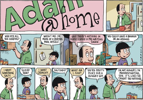 Adam@Home on Sunday January 13, 2019 Comic Strip