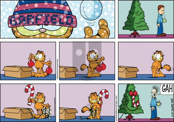 Garfield on Sunday December 11, 2011 Comic Strip