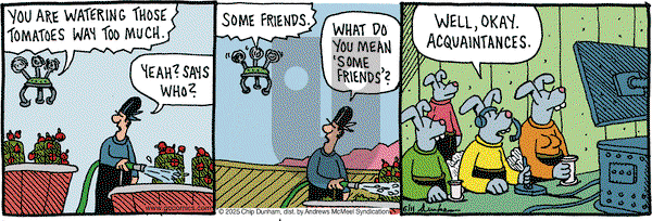 Overboard on Wednesday June 11, 2025 Comic Strip