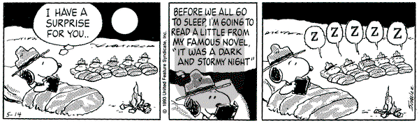 Peanuts on Friday May 14, 1993 Comic Strip