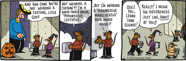 Overboard on Monday October 31, 2011 Comic Strip