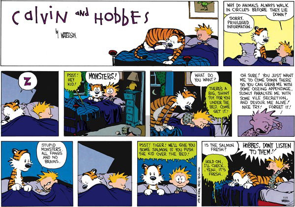 Calvin and Hobbes on Sunday November 30, 2014 Comic Strip