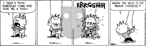 Calvin and Hobbes - Thursday July 1, 1993 Comic Strip