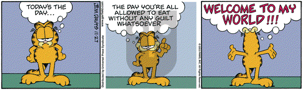 Garfield on Thursday November 27, 2003 Comic Strip
