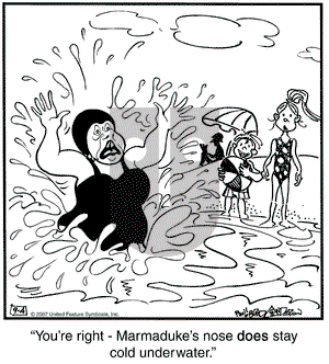Marmaduke on Tuesday September 4, 2007 Comic Strip