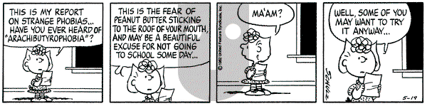Peanuts - Wednesday May 19, 1982 Comic Strip