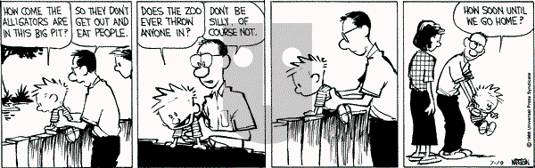 Calvin and Hobbes - Tuesday July 19, 1988 Comic Strip