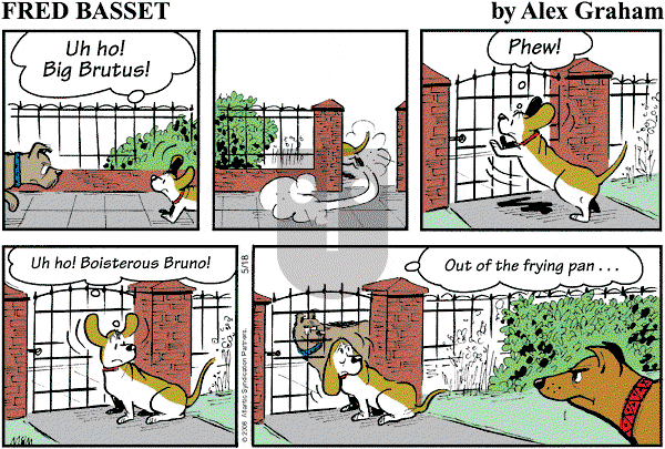 Fred Basset on Sunday May 18, 2008 Comic Strip