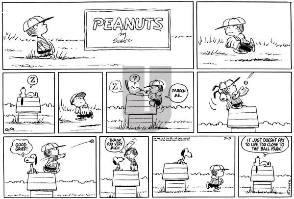 Peanuts on Sunday July 3, 1960 Comic Strip