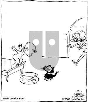 Kit 'N' Carlyle on Friday September 1, 2000 Comic Strip