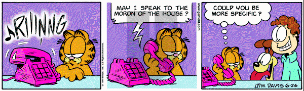 Garfield on Friday June 26, 1998 Comic Strip