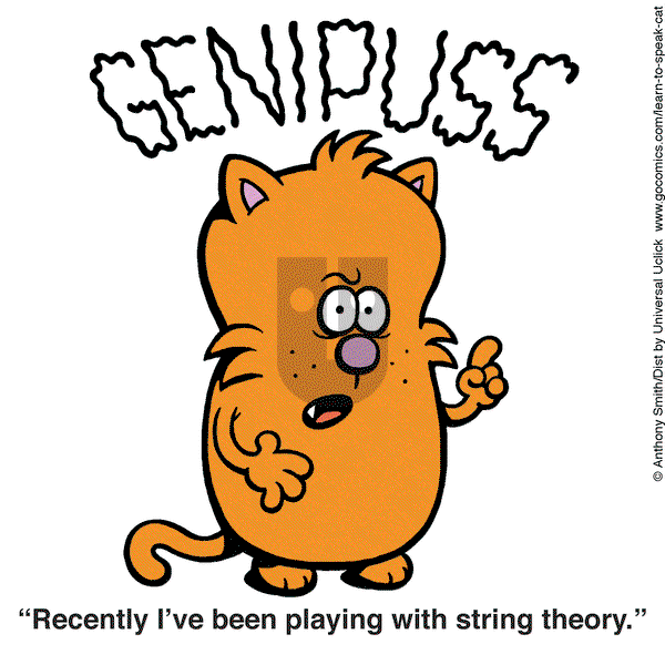 Learn to Speak Cat on Tuesday February 25, 2025 Comic Strip