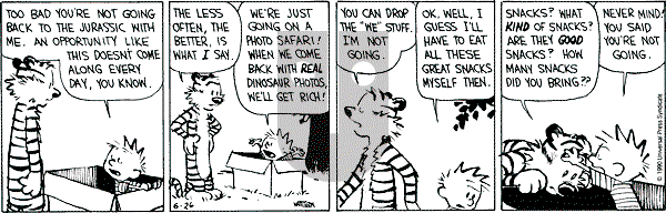 Calvin and Hobbes - Tuesday June 26, 1990 Comic Strip