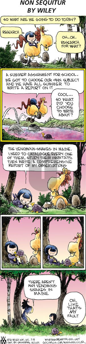 Non Sequitur on Sunday July 3, 2016 Comic Strip