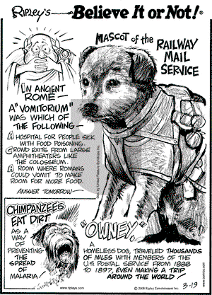 Ripley's Believe It or Not on Wednesday March 19, 2008 Comic Strip