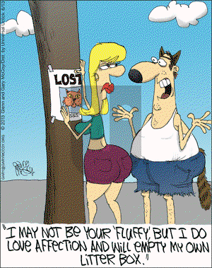 The Flying McCoys on Thursday June 13, 2013 Comic Strip