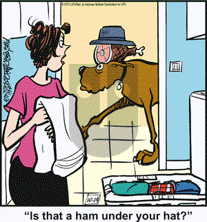 Marmaduke on Tuesday October 14, 2025 Comic Strip