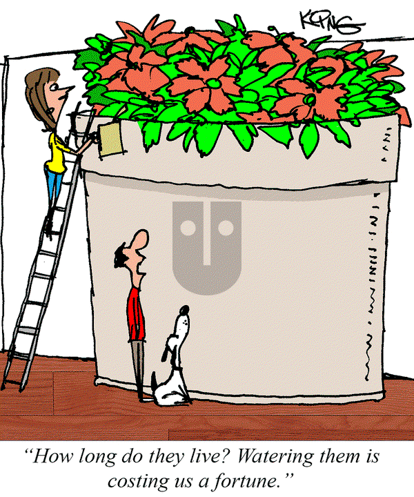 Jerry King Comics on Tuesday June 24, 2025 Comic Strip