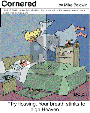 Cornered on Thursday May 19, 2016 Comic Strip