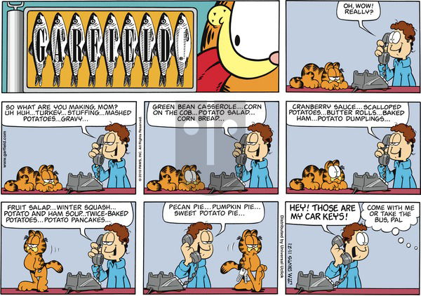 Garfield on Sunday November 21, 2010 Comic Strip