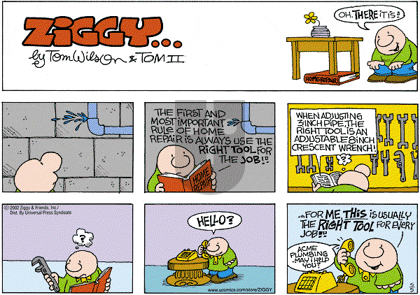 Ziggy - Sunday May 5, 2002 Comic Strip