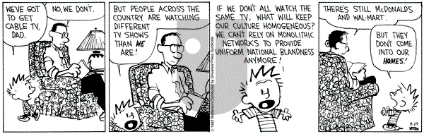 Calvin and Hobbes on Saturday August 29, 1992 Comic Strip