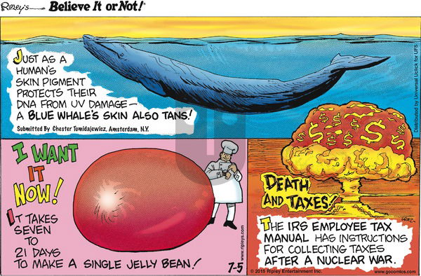 Ripley's Believe It or Not on Sunday July 5, 2015 Comic Strip