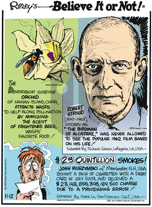 Ripley's Believe It or Not on Thursday November 12, 2009 Comic Strip