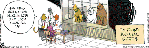 Non Sequitur on Saturday September 16, 2017 Comic Strip