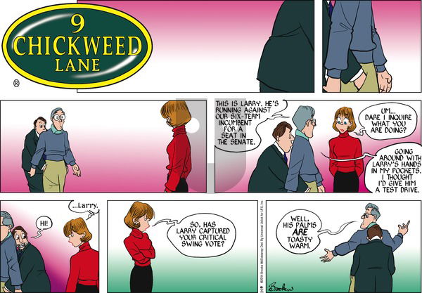 9 Chickweed Lane on Sunday January 19, 2014 Comic Strip