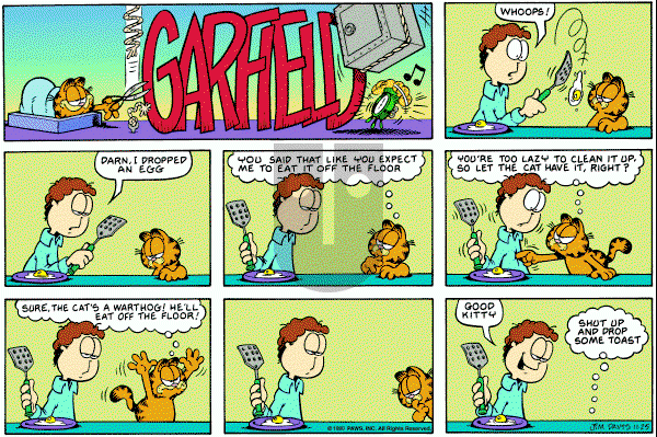 Garfield on Sunday November 25, 1990 Comic Strip