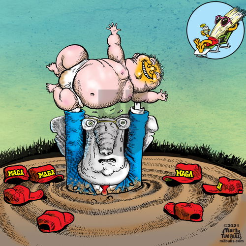 M2Bulls - Thursday February 18, 2021 Comic Strip