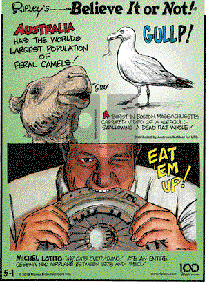 Ripley's Believe It or Not on Wednesday May 1, 2019 Comic Strip