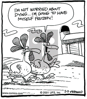 Reality Check on Friday March 9, 2001 Comic Strip