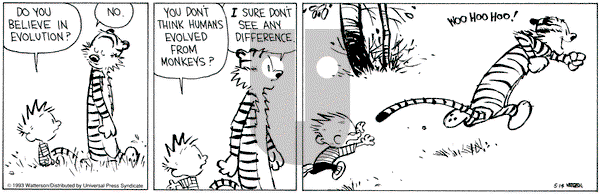 Calvin and Hobbes on Friday May 14, 1993 Comic Strip