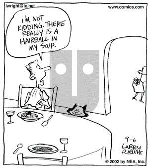 Kit 'N' Carlyle on Friday September 6, 2002 Comic Strip