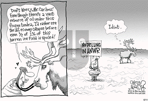 Glenn McCoy on Wednesday June 11, 2008 Comic Strip