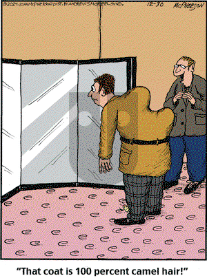 Close to Home on Monday December 30, 2024 Comic Strip