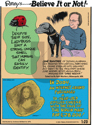 Ripley's Believe It or Not on Wednesday January 20, 2021 Comic Strip